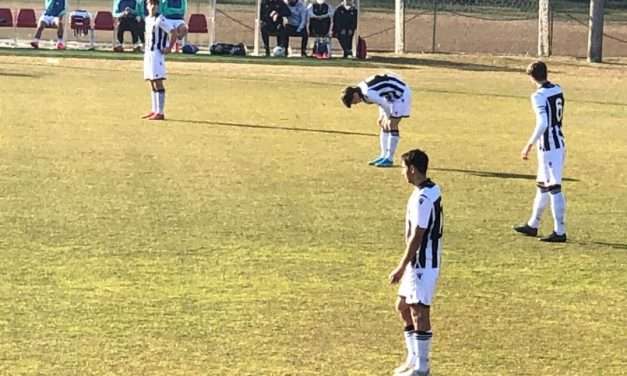 VIDEO (P.2) – BASHA DAL DISCHETTO DECIDE UDINESE-V.ENTELLA