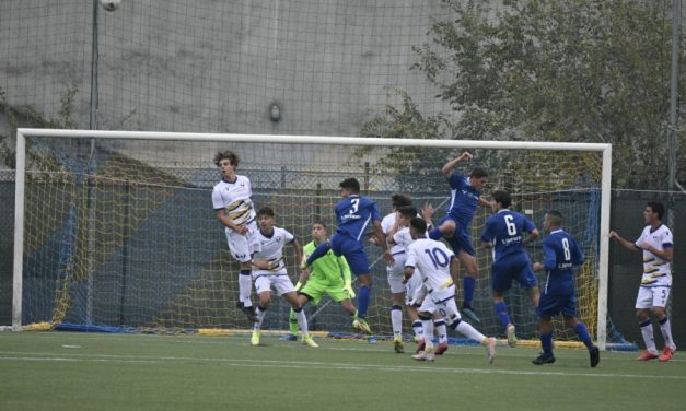 PRIMAVERA 1 – Squalificati un dirigente e 2 calciatori