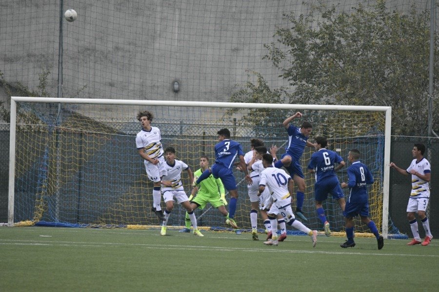 MERCATO – Imola e Torri (2006) lasciano Vis Pesaro e Perugia