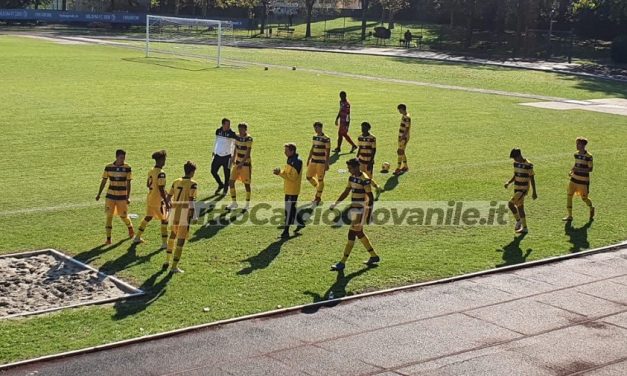 PARMA – I GIALLOBLU’ BLINDANO DUE GIOVANI