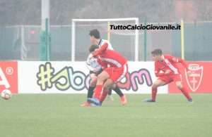 FOTOGALLERY
