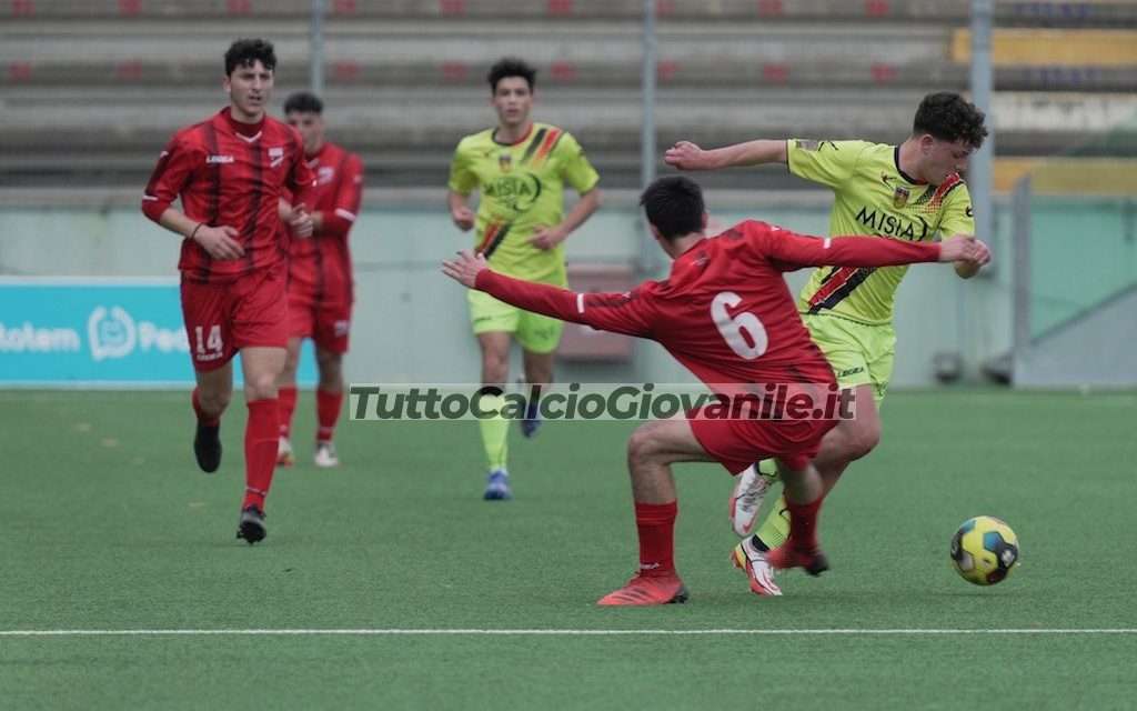 DISTINTE – Ecco la 2^ parte (gare 26-27 febbraio)