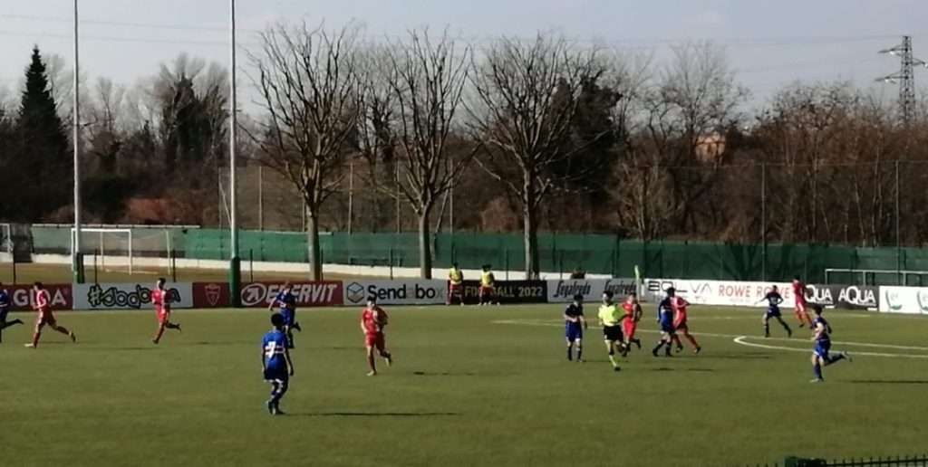 Spal