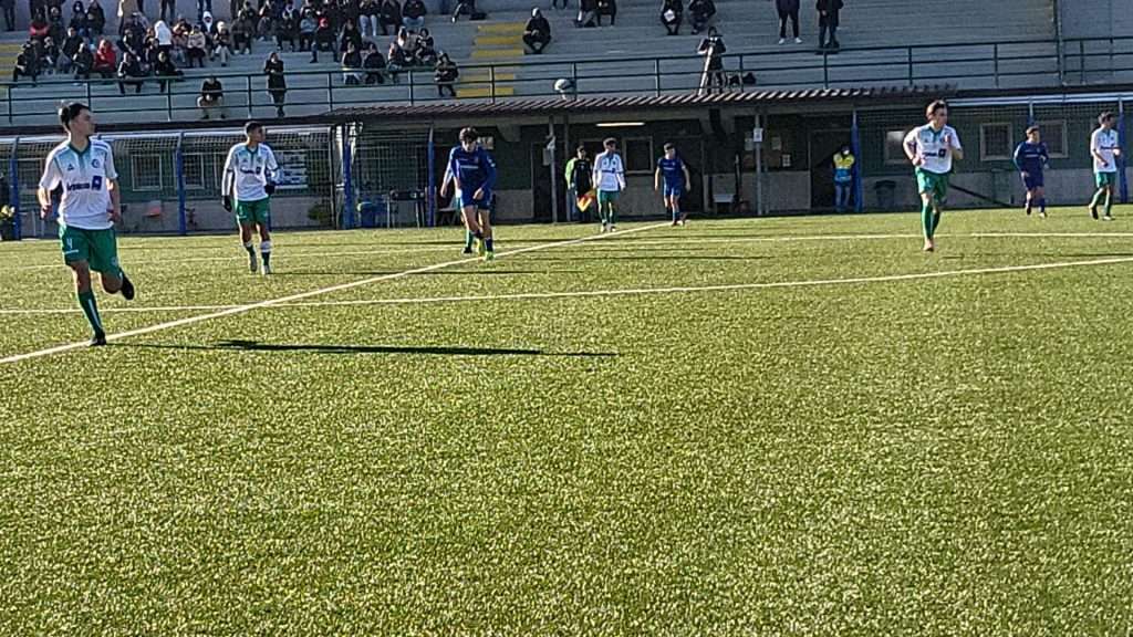 avellino