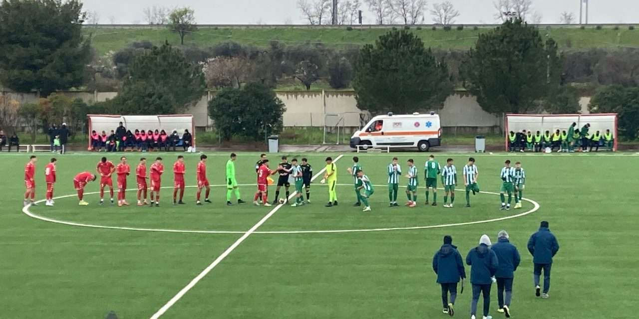 VIBONESE-MONOPOLI (U17-U15): un successo e un segno X per i biancoverdi