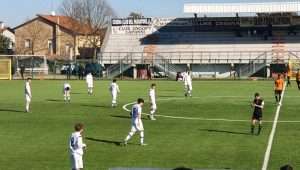 cesena