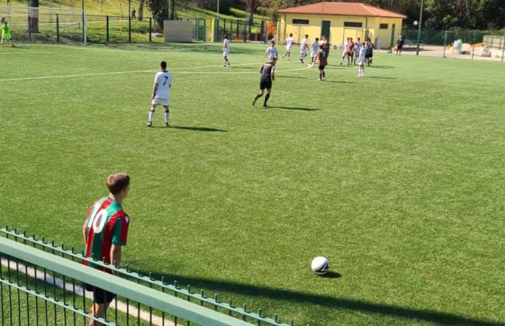 ternana
