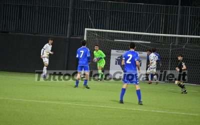 DOPPIA SFIDA Brescia-Verona (Under 15/16): news, risultati e marcatori