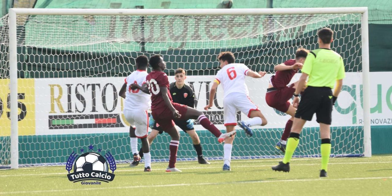 ESCLUSIVA – Il Torino preleva un “gioiellino” dal…SUD!