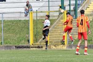 FOTOGALLERY