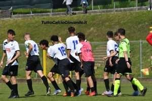 fotogallery