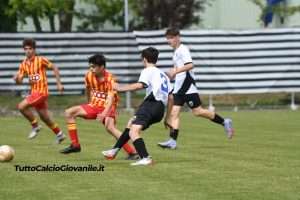 fotogallery