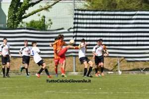 fotogallery