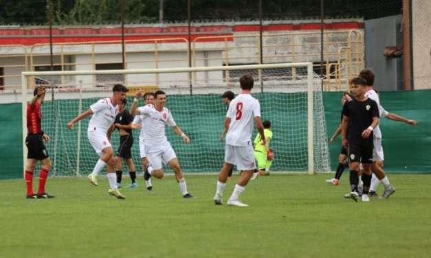 PADOVA-REGGIANA (PR.2) – Grande commozione e 4 reti allo stadio “S.Appiani”