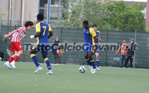 VERONA – Mister Sammarco alla guida dell’U18 (confermata anticipazione di T.C.G.)