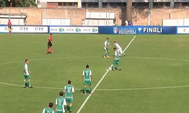 AVELLINO UNDER 15 – (VIDEO): 6 reti alla Viterbese: cronaca, marcatori e immagini