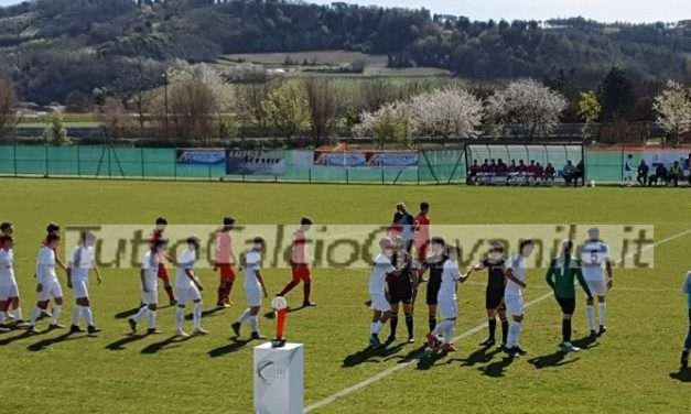 FIORENZUOLA – Tutto sul settore giovanile: mister, responsabile e altre news