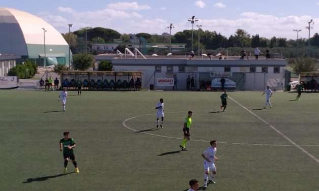 Sassuolo-Cesena (Under 17): la distinta del match