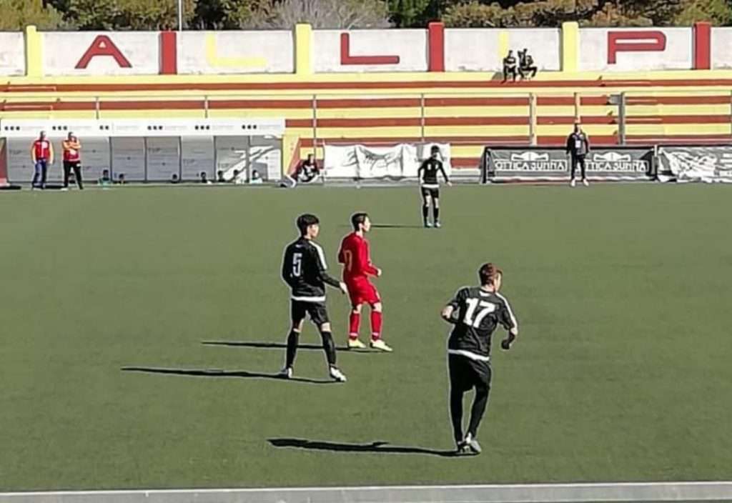 fogliaro