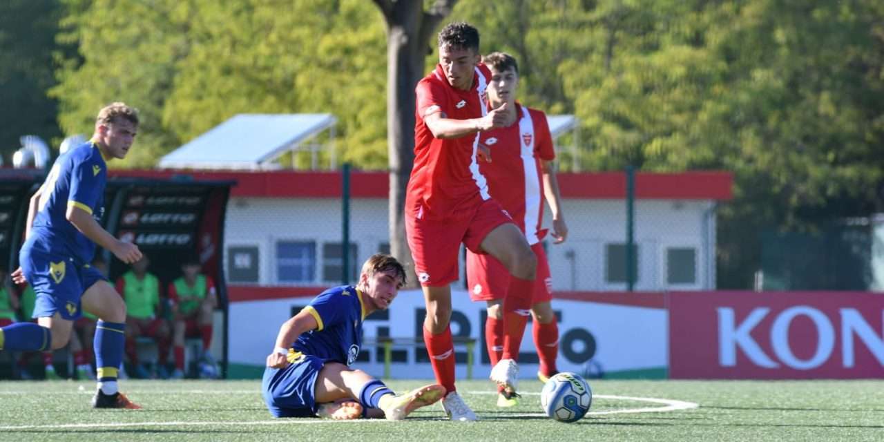LIVE – MONZA-HELLAS VERONA (U18): FINITA, E’ FESTA GIALLOBLU’ AL “MONZELLO”