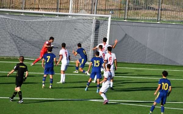 VERONA-SUDTIROL (U16-U15) – Doppio successo HELLAS!