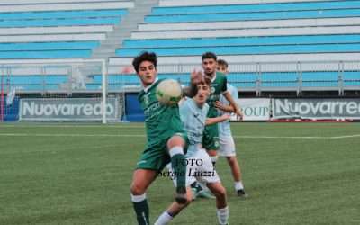 AVELLINO – Comunicato ufficiale sul settore giovanile