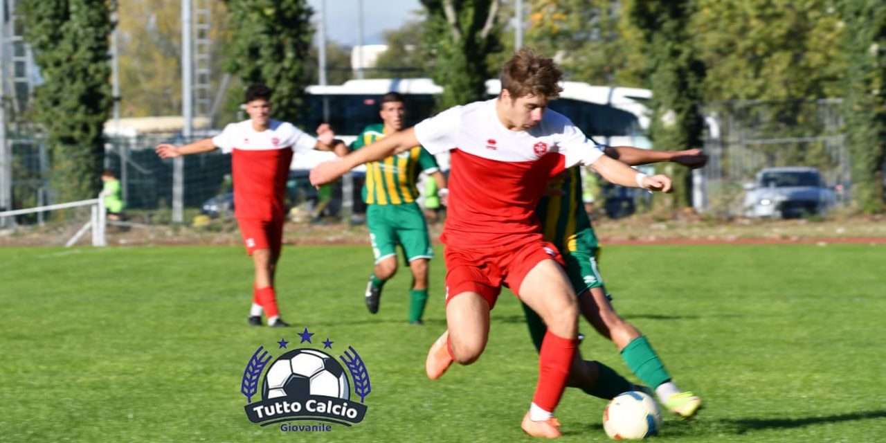 PRIMAVERA 4 – Programma gare: F.Andria e Taranto in casa