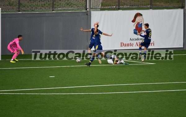 Verona-Frosinone (Distinta U18) – Segno X in Veneto