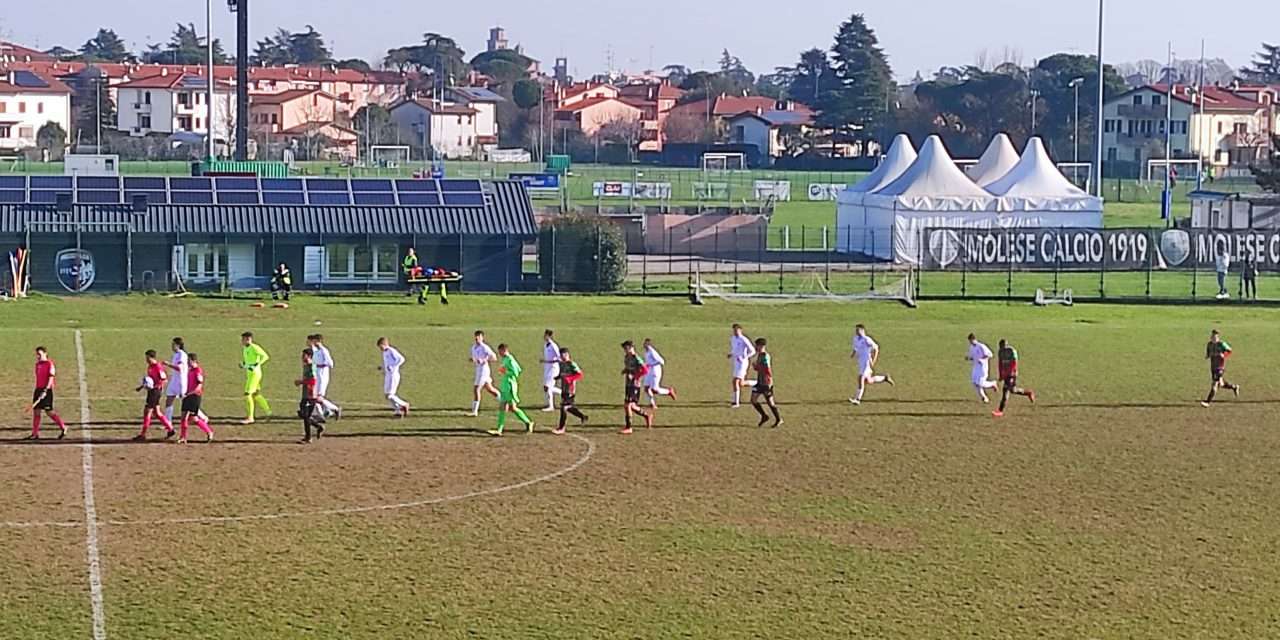 IMOLESE-TERNANA (PRIMAVERA 2) – LA DISTINTA DEL MATCH