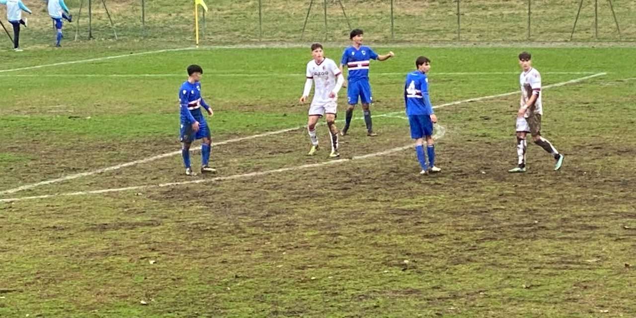 SAMPDORIA – Ecco il Comunicato Ufficiale