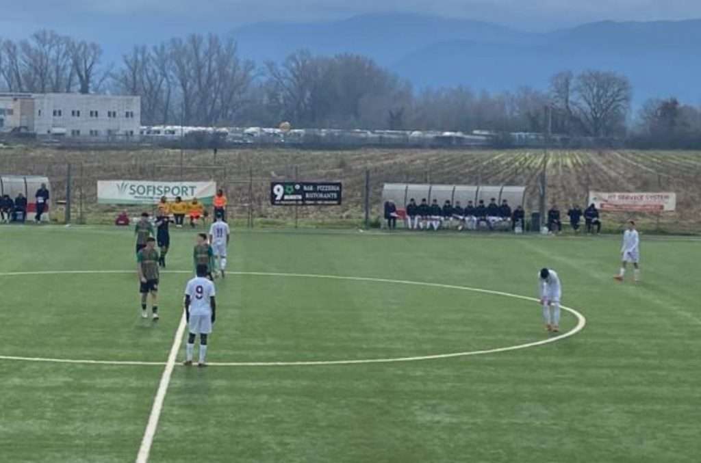 ternana