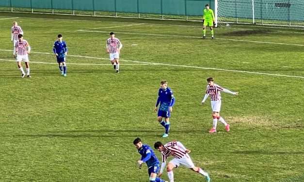 VICENZA-SPAL (Primavera 2 DISTINTA): blitz degli estensi!