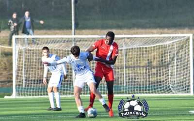 UNDER 14 PRO (Fase Interregionale) – Ecco i 4 gironi!