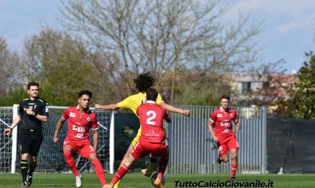 PISA – Un 2006 per la Primavera, ecco ruolo ed ex club!