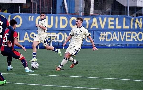 VERONA – Forte interessamento per Ventura