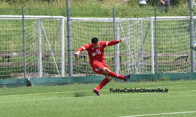 DISTINTE (26 gennaio) – Crotone/Monopoli/Ternana/Perugia e altre!