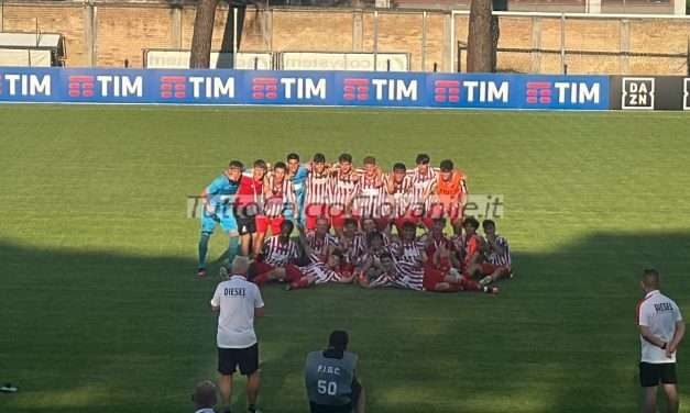 VICENZA – Ecco l’organigramma del Settore Giovanile