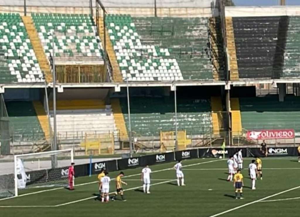 avellino