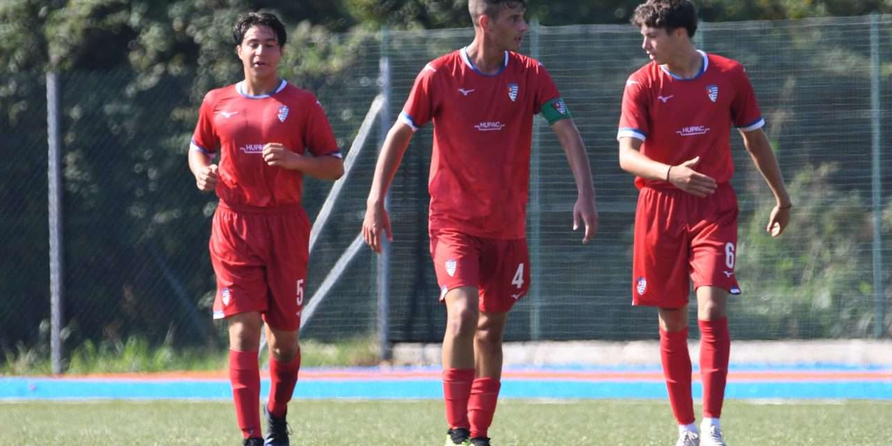 GIOVANILI – Ufficiale! Ecco cosa succederà ai 2008-2007 e 2006
