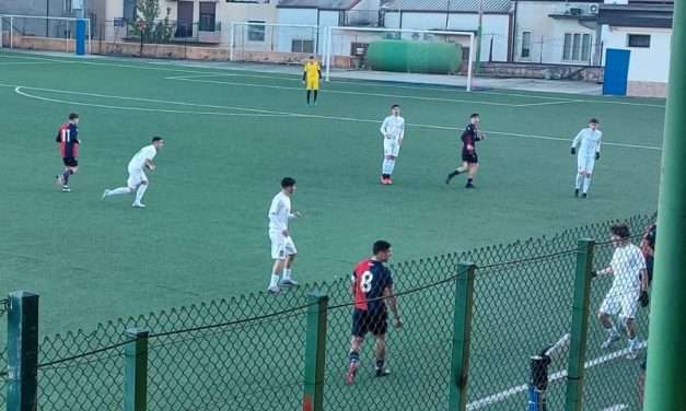 Under 17- Dominio V.Francavilla sul Crotone, Sorrento-Picerno X