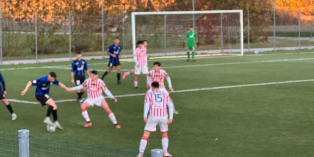 DISTINTA: Vicenza vs Cittadella (Primavera 2)