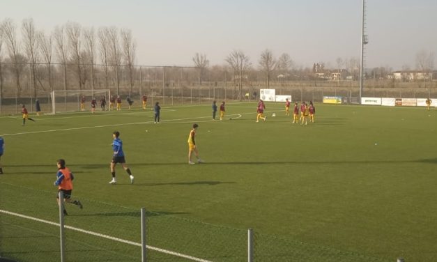 CITTADELLA-RENATE (Distinta P2) – Colpo delle pantere! (RILEGGI LA Diretta LIVE)