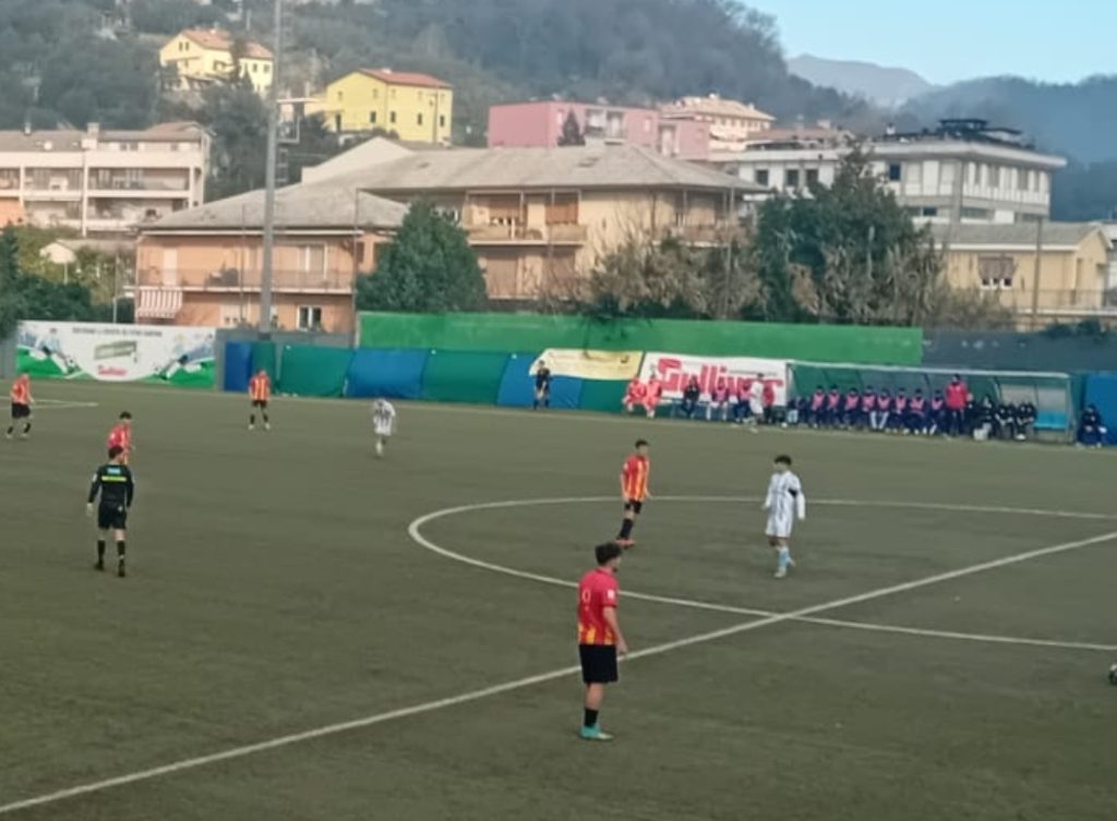 Virtus entella