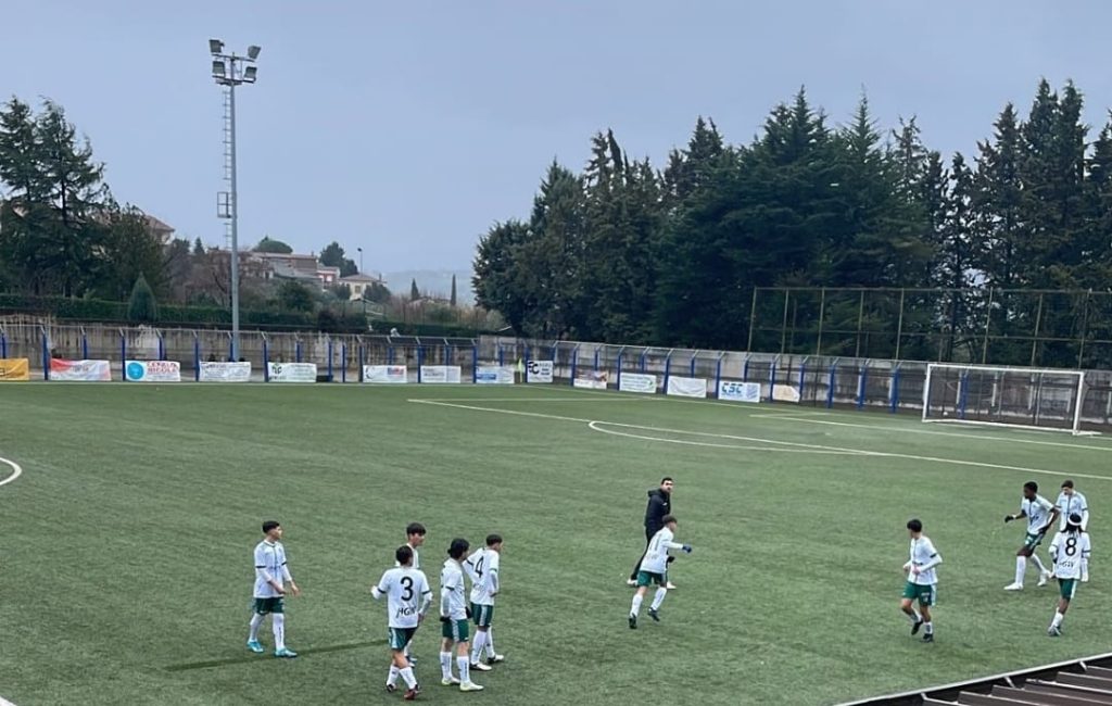 avellino