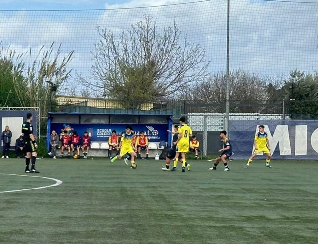 juve stabia