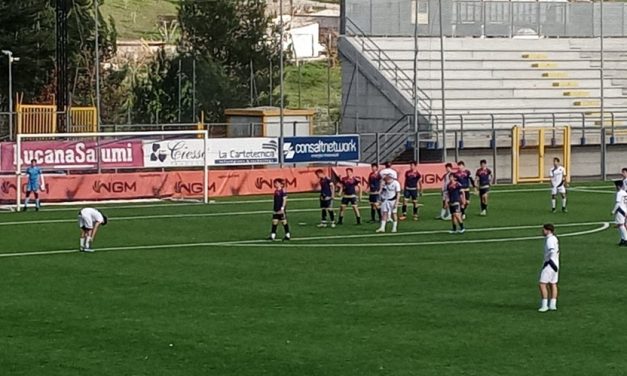 PICERNO-GIUGLIANO – Foto, distinte, marcatori (Primavera 4)
