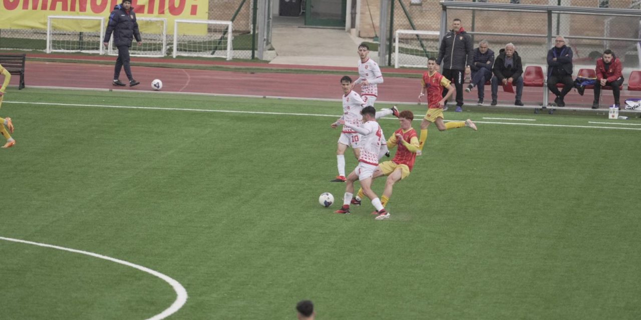 ANCONA-BENEVENTO (Under 17) – Distinte della gara (9 giugno)