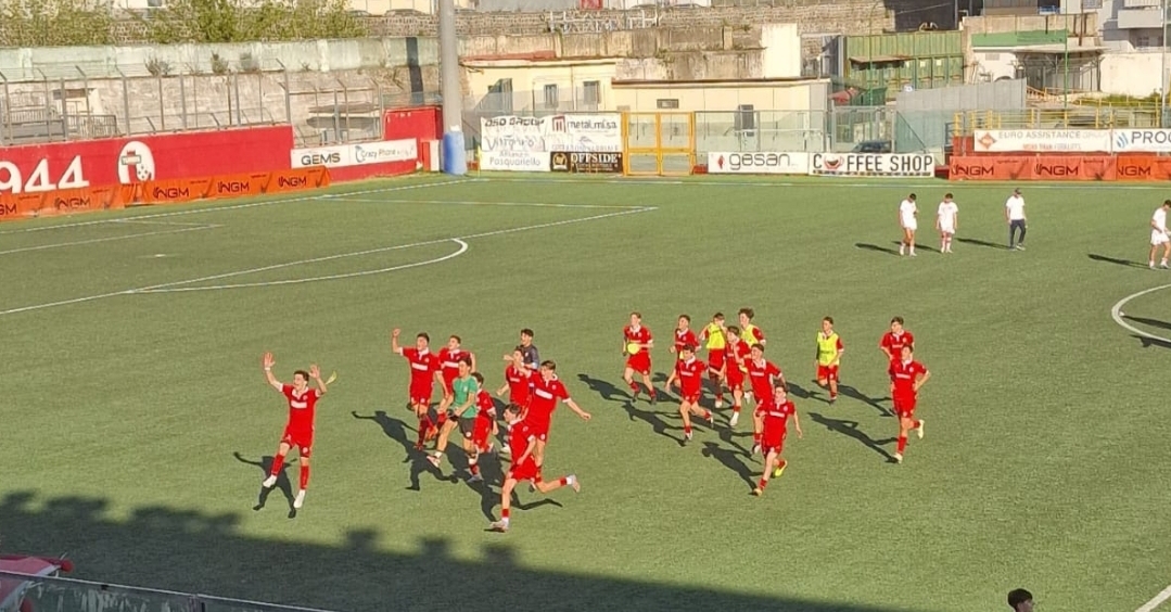 TURRIS – Per la Primavera ecco FRASCA!