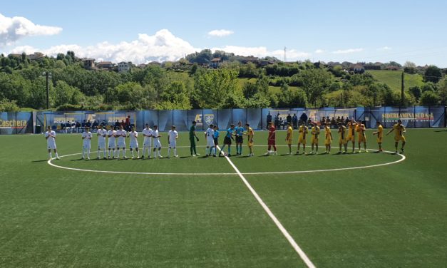 Frosinone-Cosenza (U17): la distinta della gara