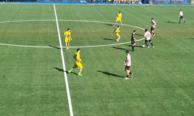 Palermo-Frosinone (Under 17): distinta della gara